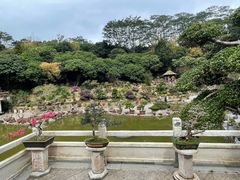 -深圳仙湖植物园