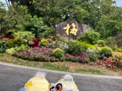 -无锡梅园公园