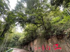 -莫干山风景区