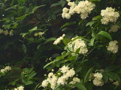 -西南交通大学(九里校区)