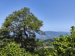 -綦江古剑山