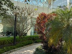 -德宏芒市国际机场
