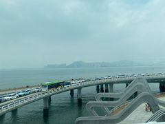 -演武大桥观景平台