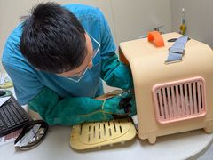 -安安宠医宠物医院·异宠·犬猫内科(岳阳分院)