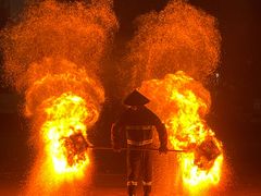 -东南花都花博园