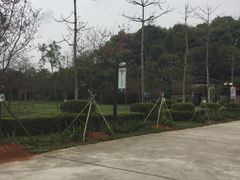 -田野绿世界