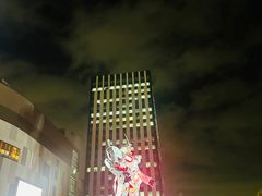 -台场海滨公园船码头