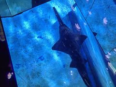 -暹罗海洋世界