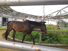 -松声马术俱乐部