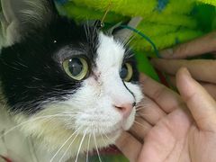 -美联众合动物医院·24h转诊中心
