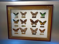 -上海昆虫博物馆