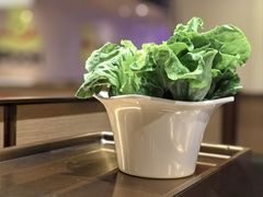-海底捞火锅(铂澜大象城店)