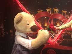 -济州岛泰迪熊博物馆