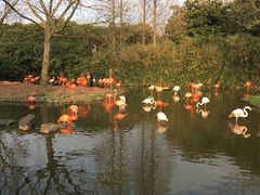 -野生动物园-停车场