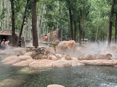 -北京野生动物园