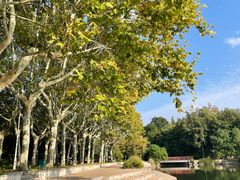 -泰州凤城河风景区-泰山公园