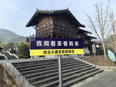 -大唐贡茶院