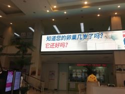 点击看大图 -五洲妇儿医院