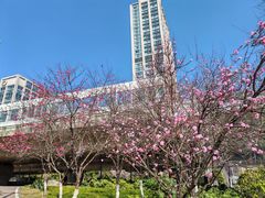 -哈瓦那雪茄酒廊超市(武汉天地分店)