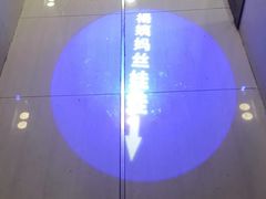 -杨姨妈丝娃娃(花果园店)