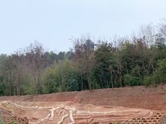 -中国西峡恐龙遗迹园