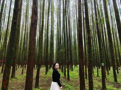 -山王坪喀斯特国家生态公园
