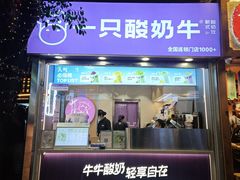 -一只酸奶牛(八一路店)