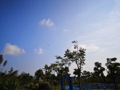 -上海长兴岛郊野公园