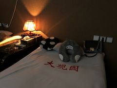 -大观园影院式足浴Spa店(沙坪坝店)