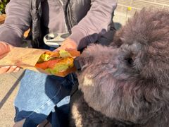 -Dough&Joe团憩(瑞虹天地月亮湾店)