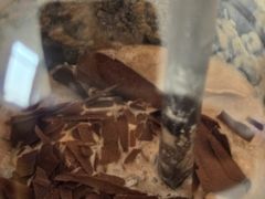 -GODIVA(万象城店)