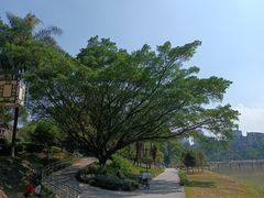 -永安龟山公园