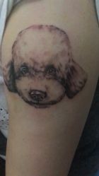 点击看大图 -怪咖纹身刺青