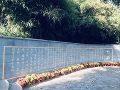 -菊花台公园