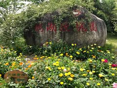 -鹅湖玫瑰文化园