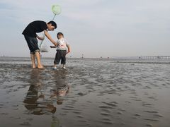 -南汇嘴观海公园