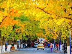 -辽东学院(南校区)