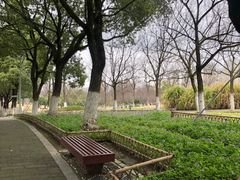 -白塘生态植物园