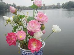 -中国翰园碑林