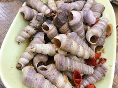 -贞姨美食·老字号海鲜大排档