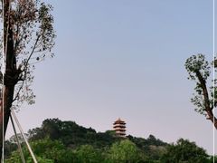 -福神岗公园