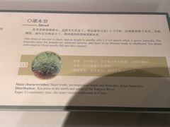 -中国茶叶博物馆(双峰馆区)