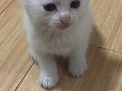 -青春分食(仙林大学城店)