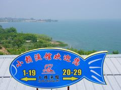 -小赖鱼馆
