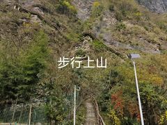 -鹿院坪生态旅游景区