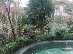 -苏州湾王焰温泉度假酒店