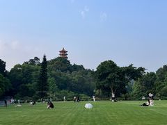 -深圳仙湖植物园