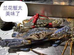 -城墙外BAR
