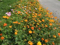 -武汉紫薇都市田园