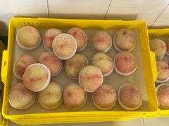 -老袁家蜜桃农场·阳山水蜜桃